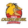 Recreio da Juventude U19 Logo