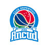 Ancud SAESA Logo