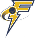  fulgofidenza Logo