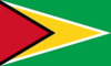 Guyana Logo