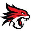 Perth Wildcats Logo