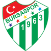 Bursaspor Logo