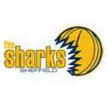 Sheffield Sharks Logo