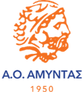 Neoi AO Amyntas Logo