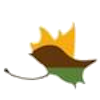 Municipalidad de San Carlos de Mendoza Logo
