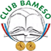 Bameso Logo