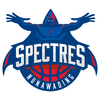 Nunawading Spectres Logo