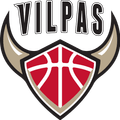 Salon Vilpas W Logo