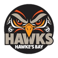 Bay Hawks Logo