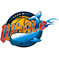 Sichuan Jinqiang Blue Whales B Logo