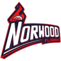 Norwood Flames Women Logo