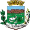 Semelp Pindamonhangaba U19 Logo