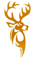 San Sebastian Stags