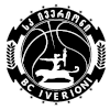 Iverion Logo