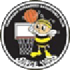 Yamanashi Queen Bees Women Logo
