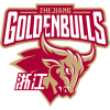 Zhejiang Golden Bulls U19 Logo