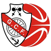 Ginasio Figueirense Logo