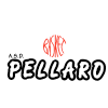 Asd Basket Pellaro U20 Logo