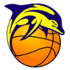 JKL Lady Dolphins Women Logo