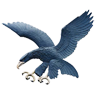 Ateneo Blue Eagles Logo