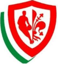 Pino Bk Firenze U19 Logo