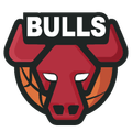 Chicago Bulls