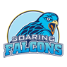 ADU Falcons Logo
