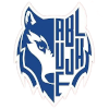 Basket Joacaba Logo