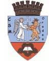 CSM Oradea Logo