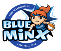 Samsunglife Blueminx Logo