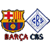 Barcelona Basquet Women Logo