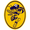 Vologda Chevakaa Women Logo