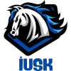 Istanbul Utku W Logo