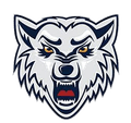 BK Wolves Radotin Logo