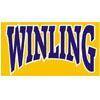 Wing Lun Hong Kong Logo