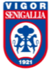 Vigor Senigallia U19 Logo
