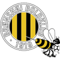 Bronshoj U21 Logo