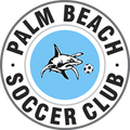 Palm Beach Sharks U20 Logo