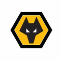 Wolverhampton U19 Logo