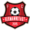 AFC Hermannstadt (W) Logo