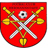 AFC Hermannstadt 2 Logo