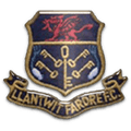 Llantwit Fardre Logo