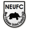New Edubiase United Logo
