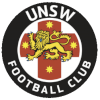 New south Wales U20 Logo