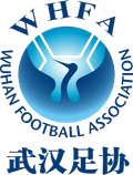 Wuhan U16 W Logo