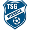 Wieseck U19 Logo