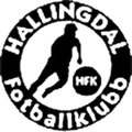 Hallingdal Logo