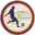 MIFA Logo