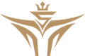 V5 Logo