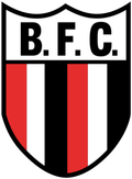 Botafogo Women Logo